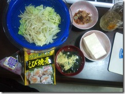 20100811224747