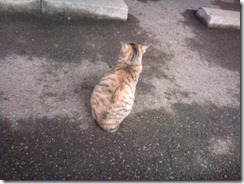 20101214224125