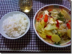 20110105005254