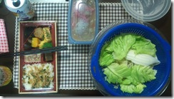 20110204220403