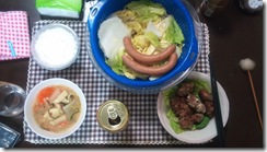 20110213194908