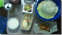 20110310224223