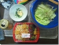 20110407000551
