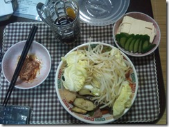 20110809233131