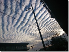 2012-10-13 16.17.44