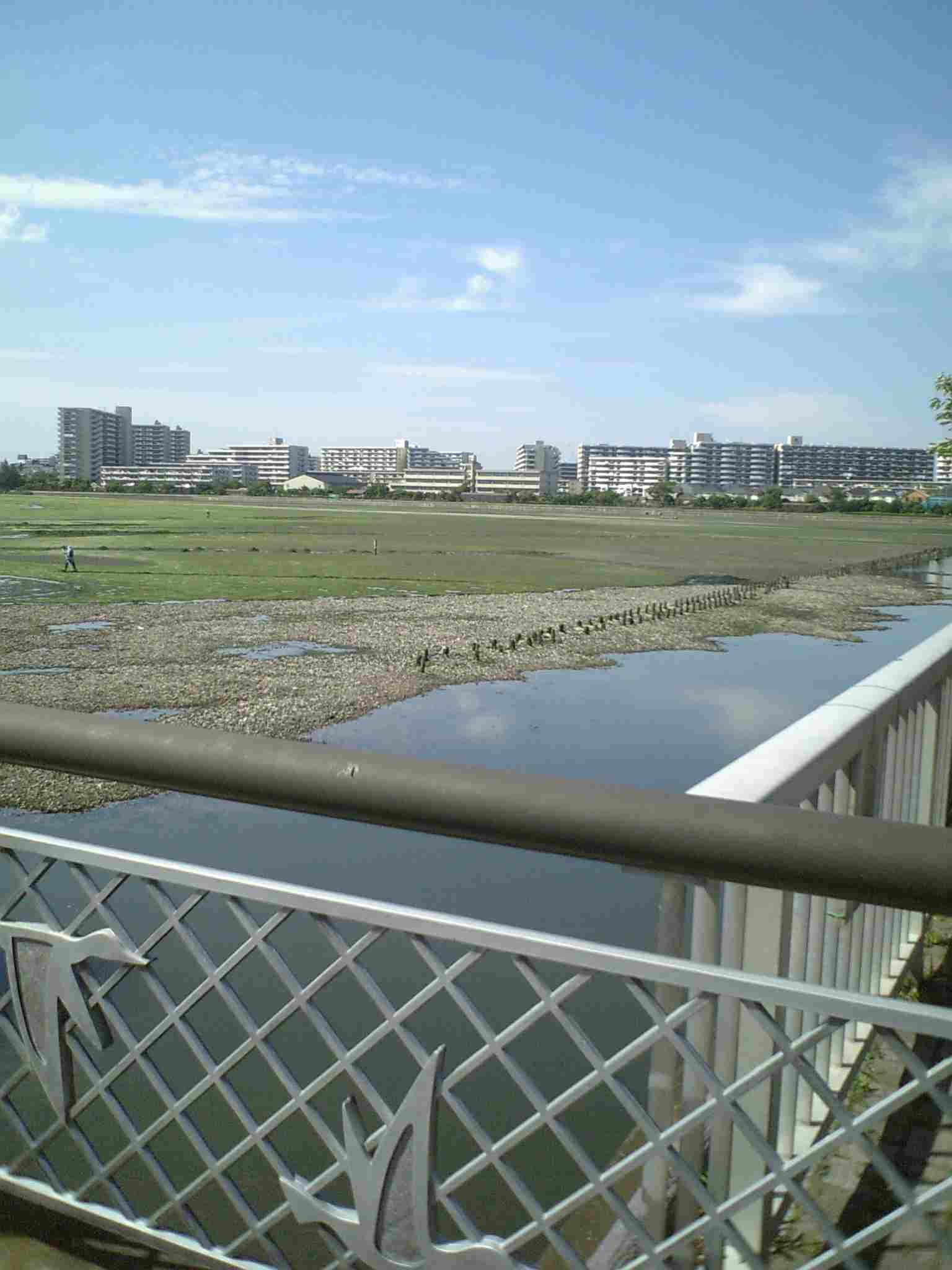 谷津干潟公園にて