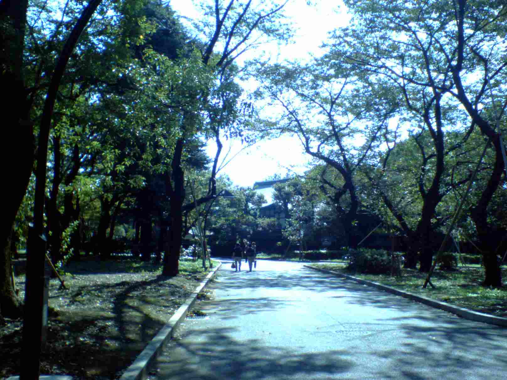 上野公園のどこか