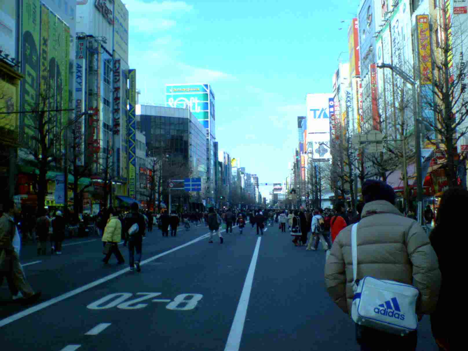 秋葉原、歩行者天国で道の真ん中